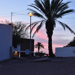 Meet your Posher, Audrey